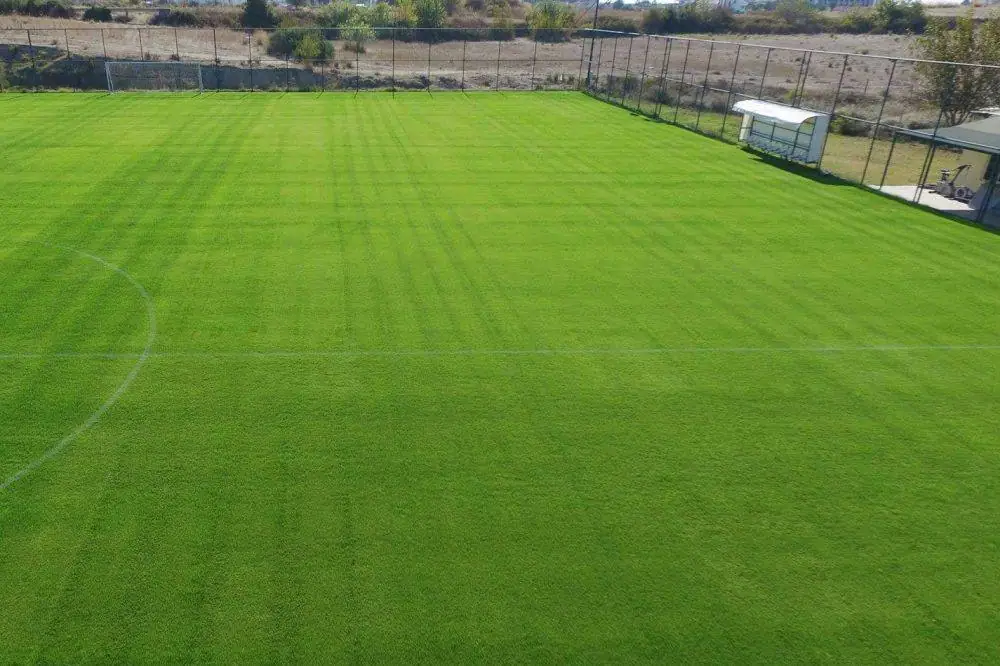 Hane Sports Complex