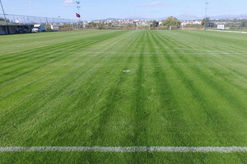 Main pitch